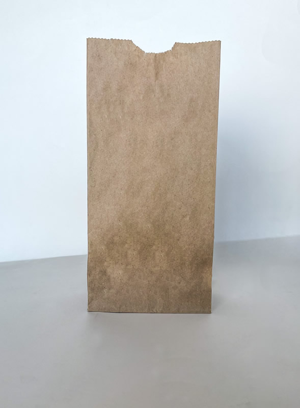 5lb Kraft Paper Bag